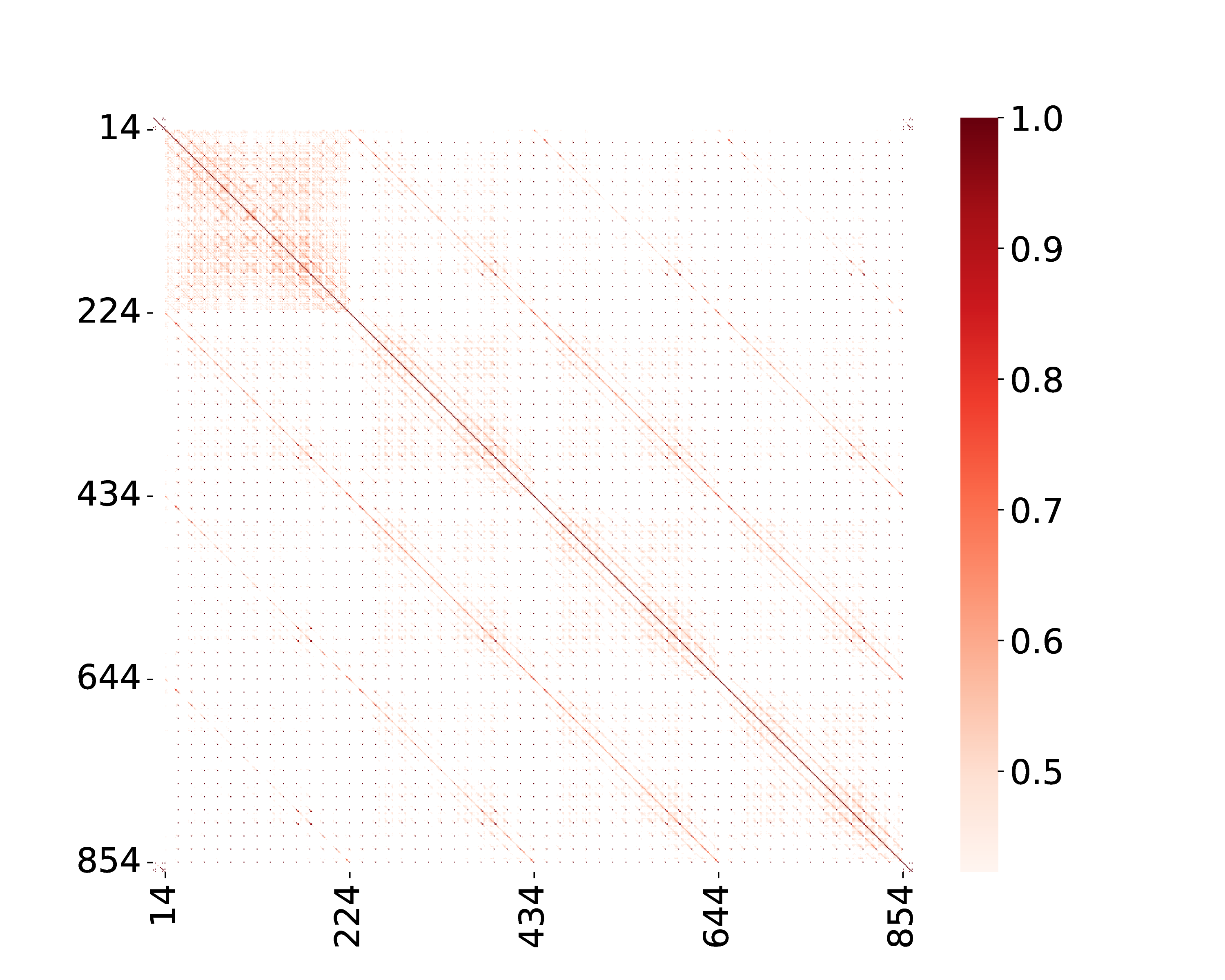 Token similarity between frames